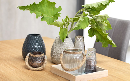 Verbessere dein Raumklima