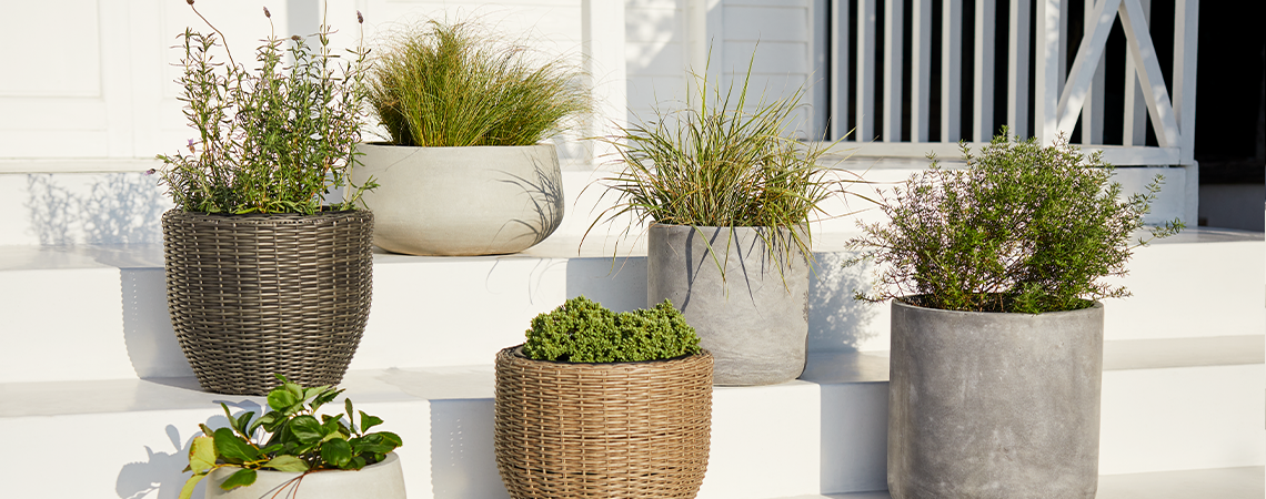 Grüne Ideen für deine Terrasse