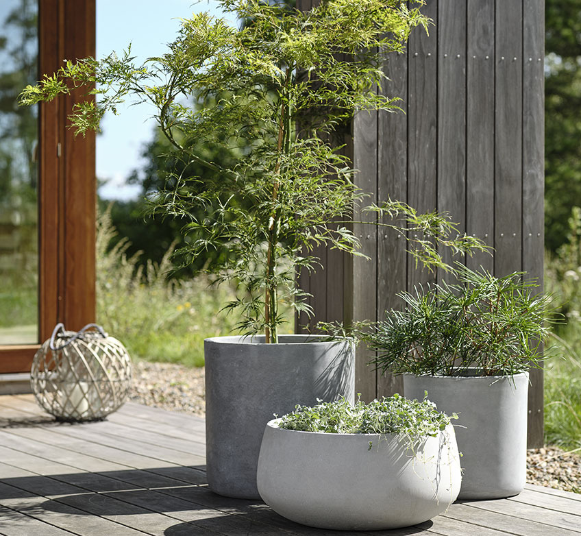 Große und kleine Pflanzgefäße auf einer Terrasse