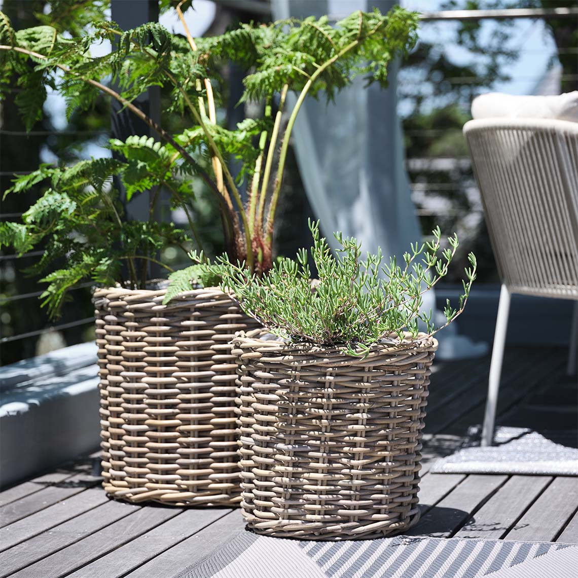 Natürliche Rattan-Pflanzkörbe mit Pflanzen auf einer sonnenbeschienenen Veranda