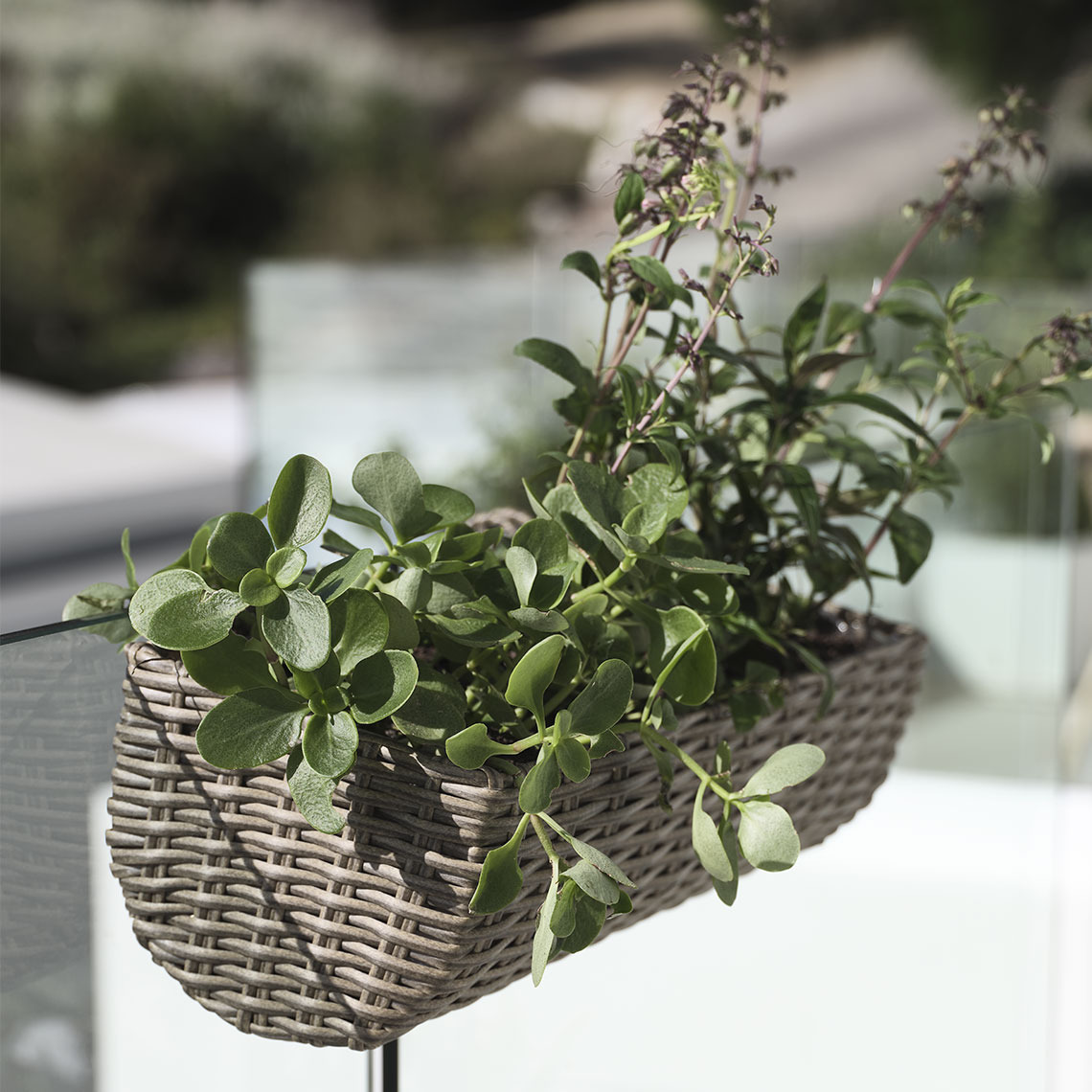 Balkonpflanzer aus Polyrattan auf einem Balkon mit Pflanzen