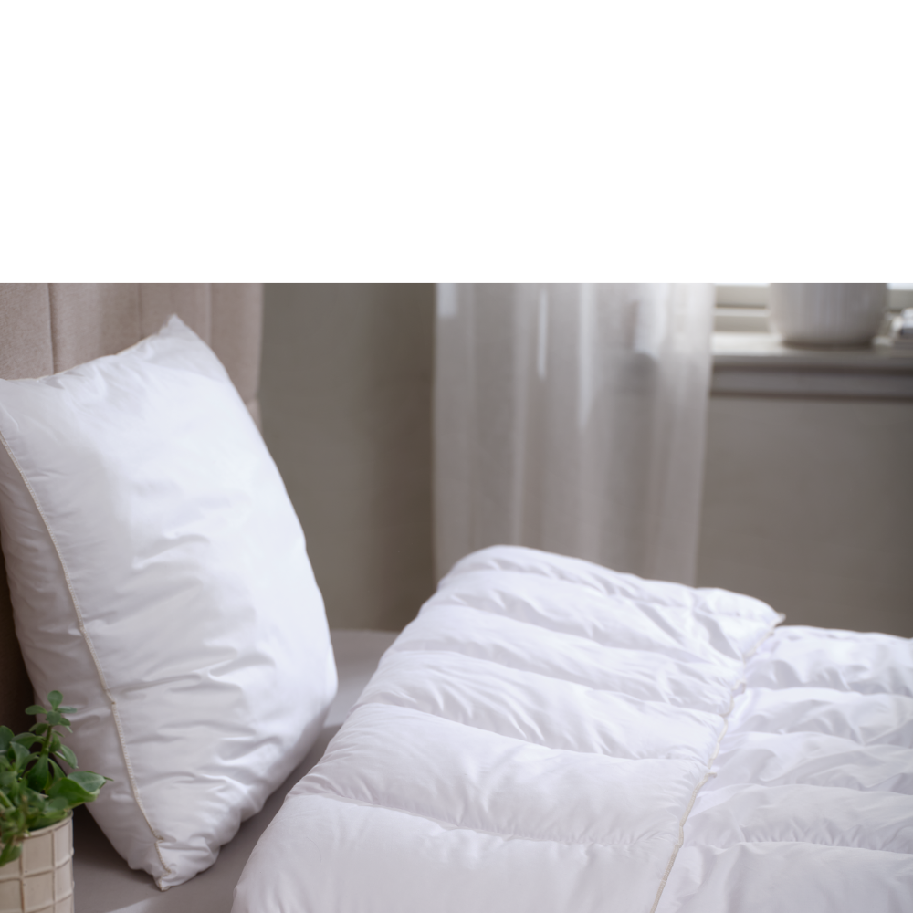 Kopfkissen Spare bis zu 70%