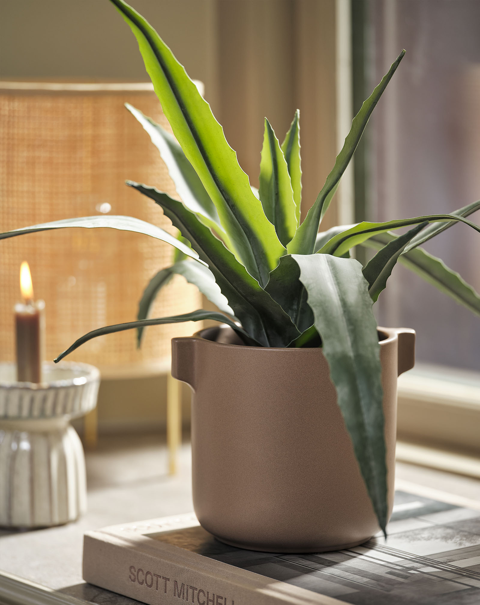 Künstliche Pflanze (Nachbildung einer tiefgrünen Aloe Vera) im Blumentopf