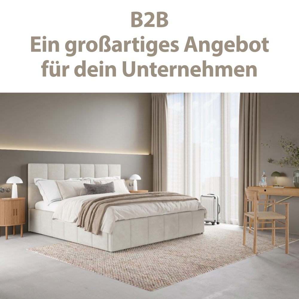 B2B B2B