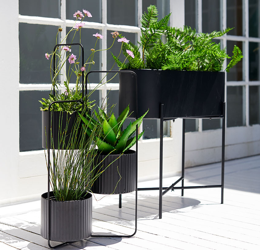 Pflanzenkasten und Pflanztopfhalter auf sonniger Terrasse