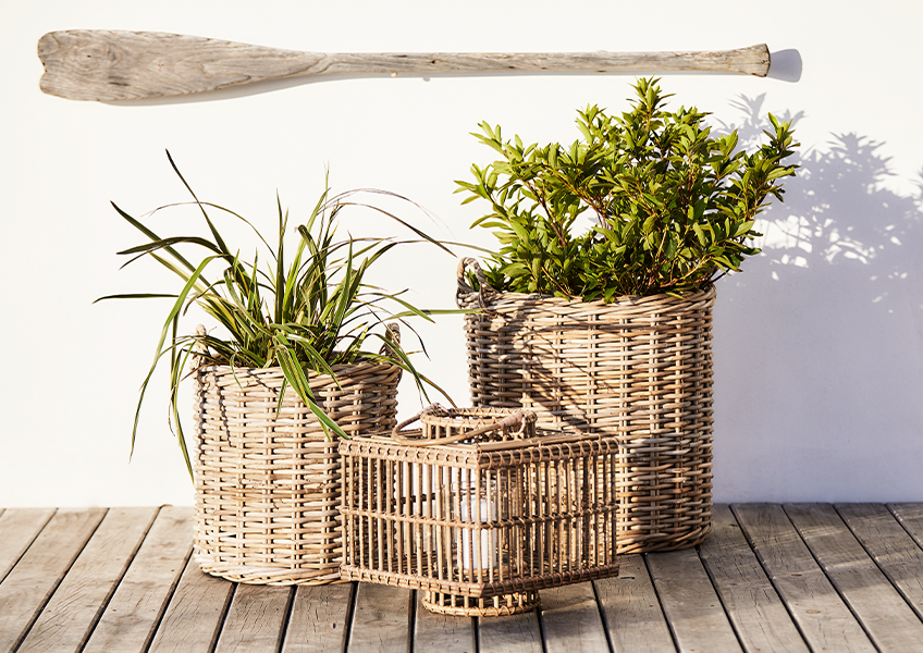 Zwei Pflanzenkübel mit Pflanzen, eine Laterne und Holzpaddel